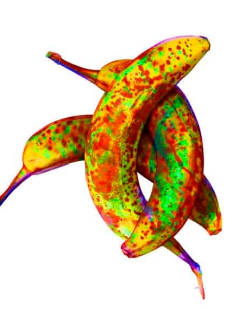 Bananas