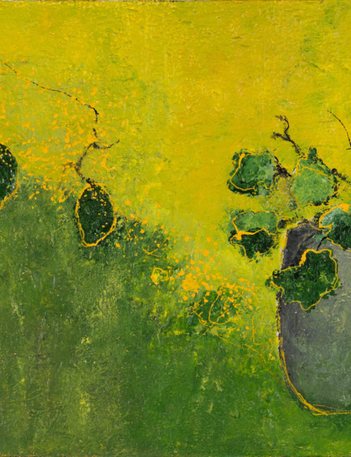 Tales from the secret garden XII