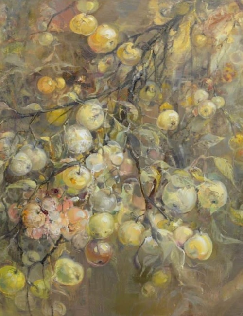 Old apple tree