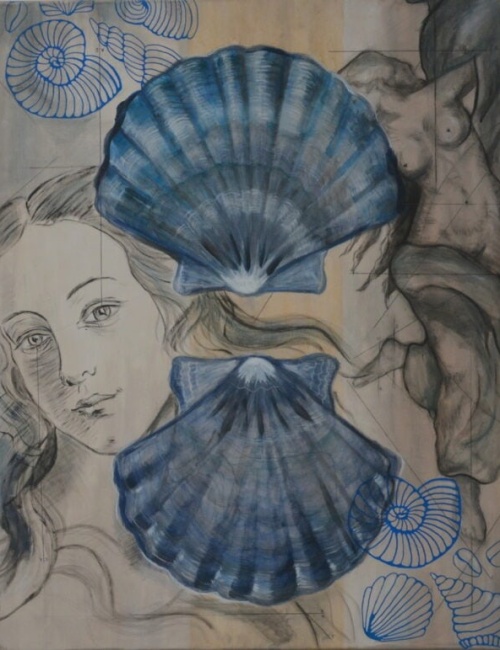 Seashell