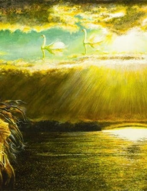 Swan Singing at Lake Białe in Przewięź