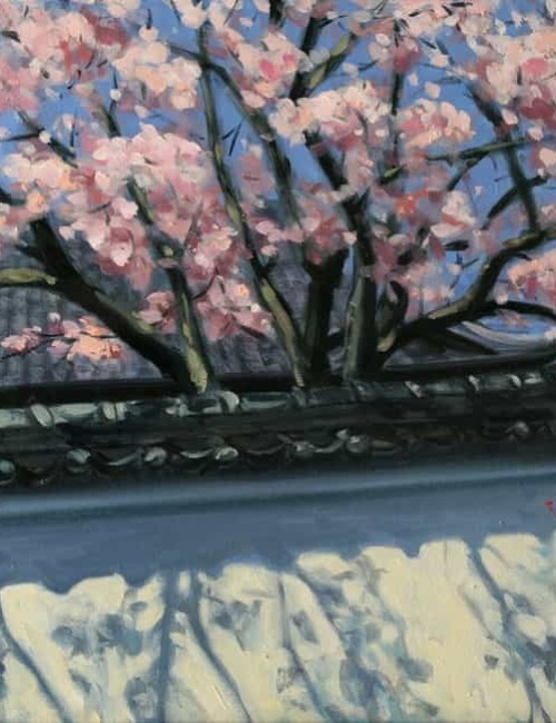 Sakura (series: JAPANORAMA)