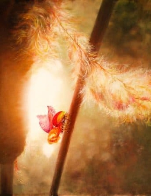 &bdquo;Lampyvidae Vagnis-Świecioch&rdquo;